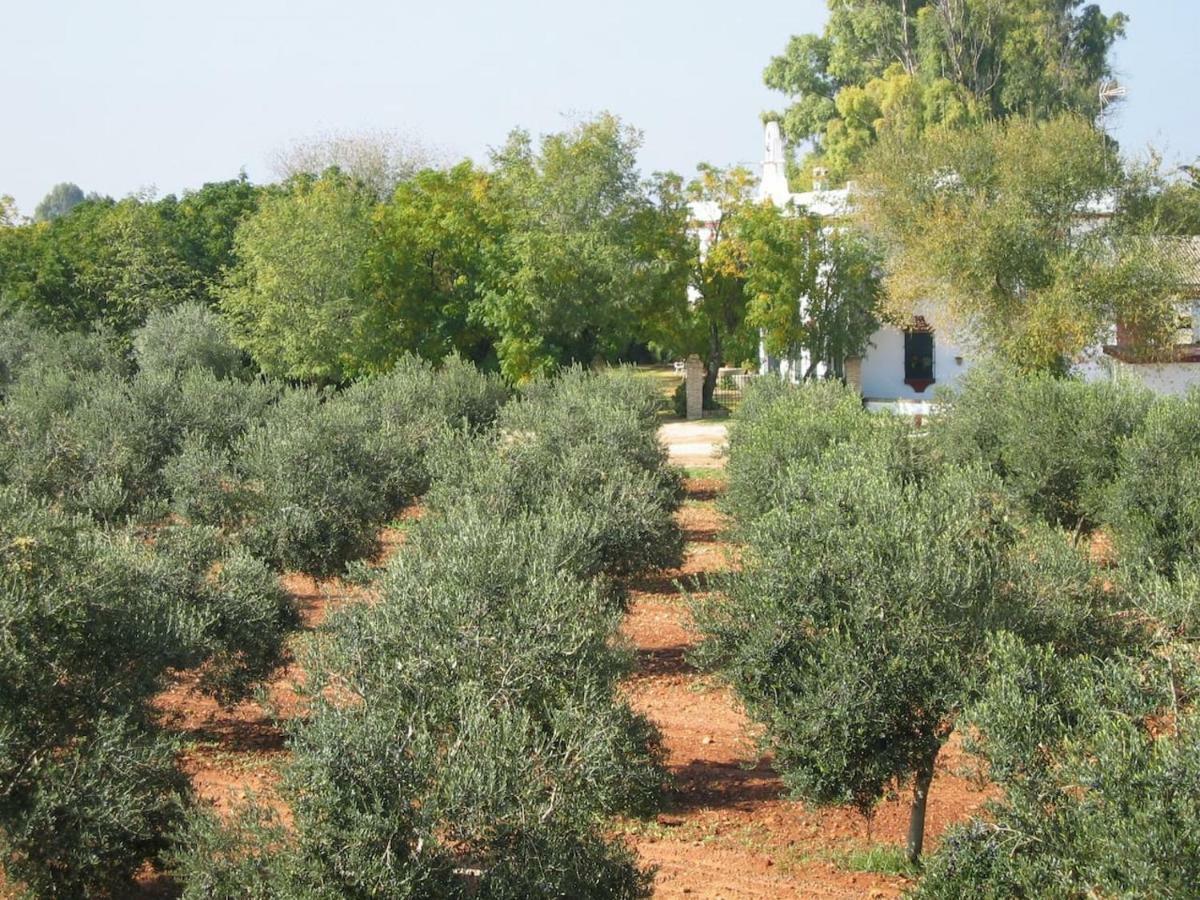 Hacienda Chambergo Casa En La Campina Sevillana Écija Exteriér fotografie